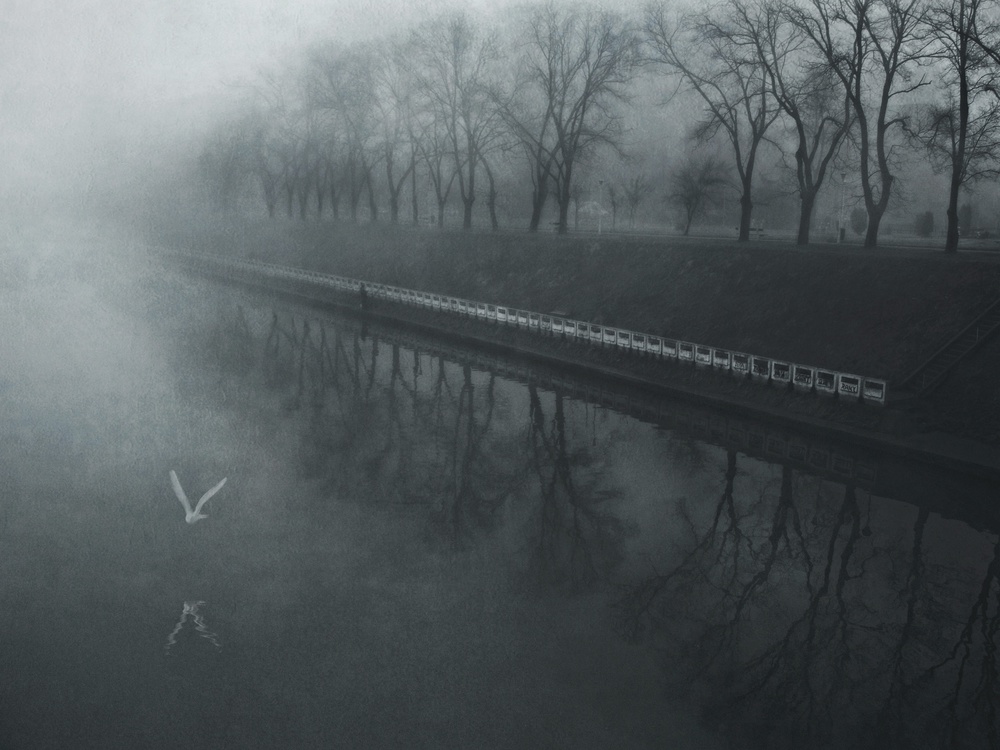 Tage voller Nebel von Nicoleta Gabor