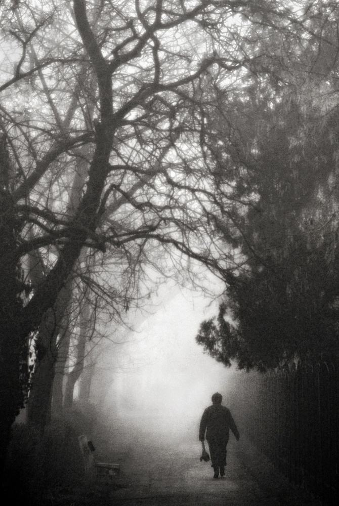 Tage voller Nebel von Nicoleta Gabor