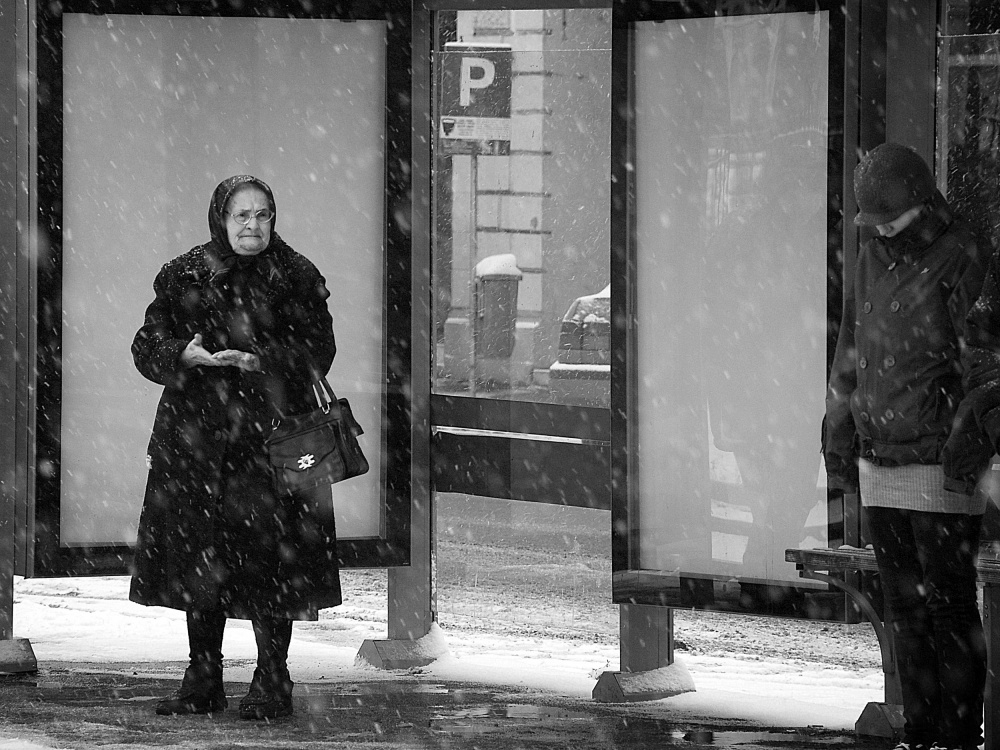 Winterpassagiere von Nicoleta Gabor