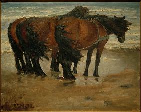 Vier Pferde. Kandestederne 1892
