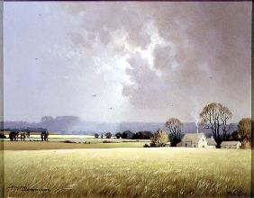 Autumn Sunlight, 1982 (oil on canvas) 