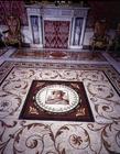 The 'Sala con Mosaico' (Hall of the Mosaic) detail of floor (photo) 1903