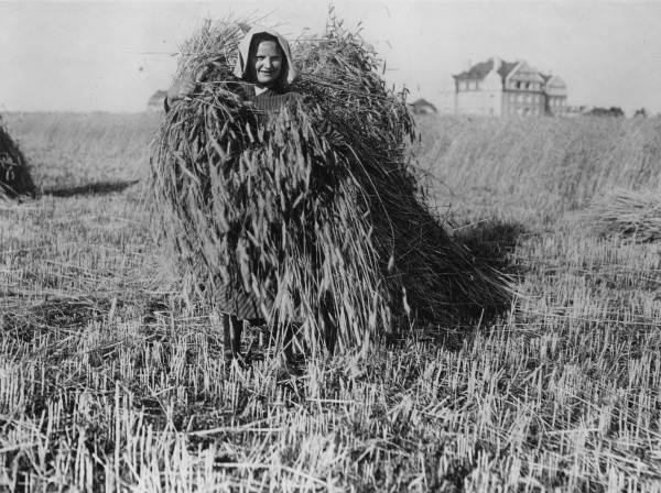 Arbeiterin bei Getreideernte, nach 1914 von 
