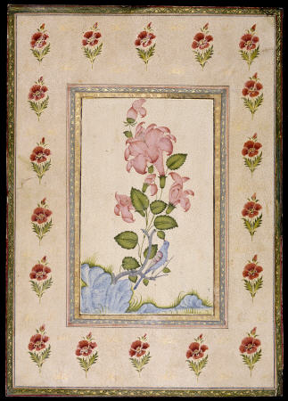 Bird And Flower Study, Mughal India von 