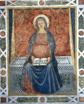 Battista da Vicenza, Madonna del Magnif.