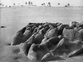 Beach near Palghar, Dt Thane (photo) 