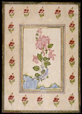 Bird And Flower Study, Mughal India