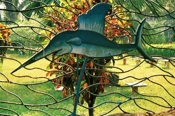 Croton highlighting fish fencing of garden (photo)  von 