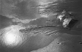 Creepers designs refection of sun and rock on sand, Porbandar (b/w photo) 