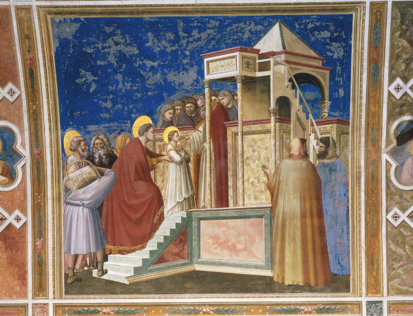Giotto, Mariae Tempelgang von 