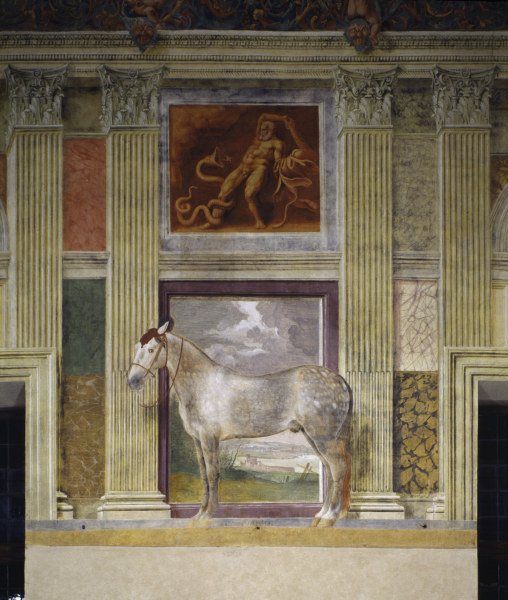 Giulio Romano, Pferd der Gonzaga von 