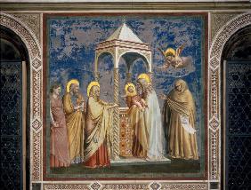 Giotto, Darbringung im Tempel / Padua