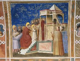 Giotto, Mariae Tempelgang