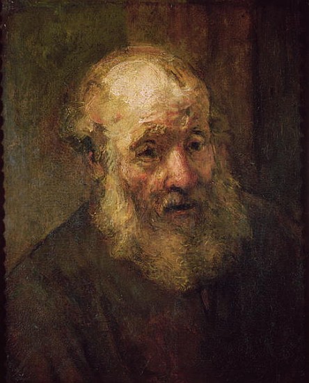 Head of an Old Man, c.1650 von 