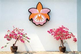 Logo of hotel placed above two bougainvillea pots supposed orchid Pattaya (photo) 