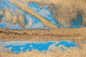 Paint on wood with sand (photo) 