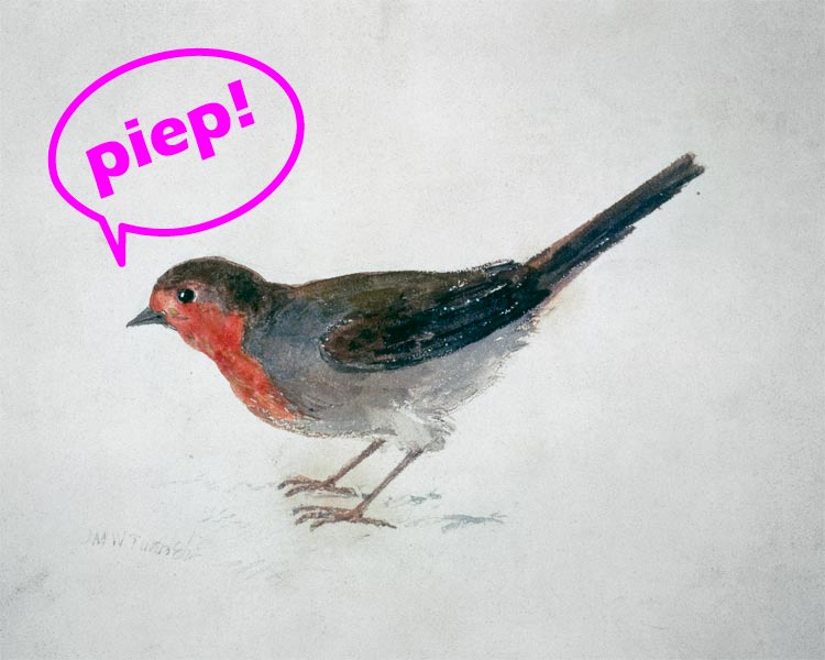 Robin, from The Farnley Book of Birds  - "piep!" von 