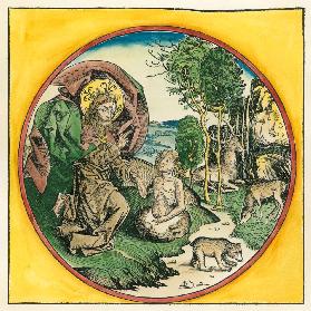 Sechste Schöpfungstag / aus Schedel 1493