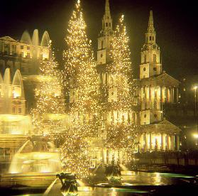 Trafalgar Square, Christmas Lights