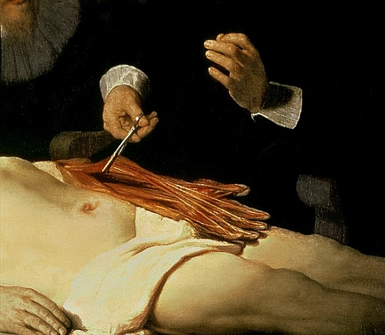 The Anatomy Lesson of Dr. Nicolaes Tulp, 1632 (detail of 7543) von 