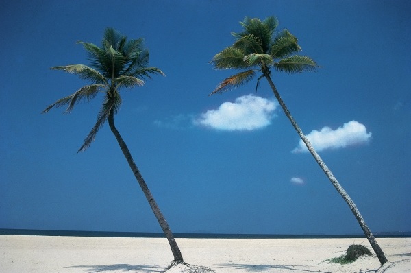 Typical beach of Goa (photo)  von 