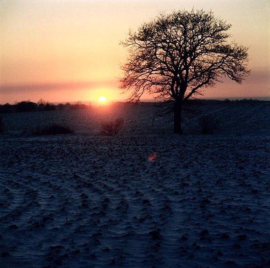 Winter Sunset, Essex von 