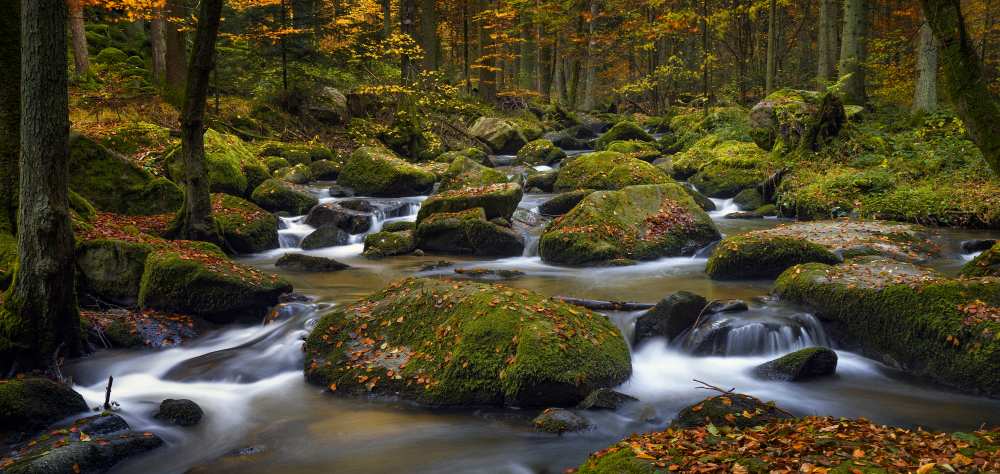 autumn waters von Norbert Maier