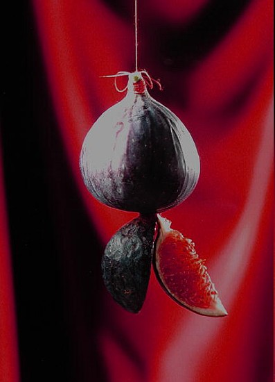 Fig on a string with segments, 2003 (colour photo)  von Norman  Hollands