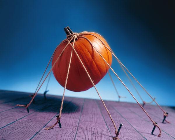 Tethered Pumpkin, 1996 (colour photo) 