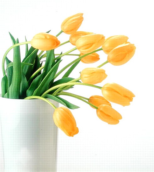 Yellow tulips I, 1999 (colour photo)  von Norman  Hollands