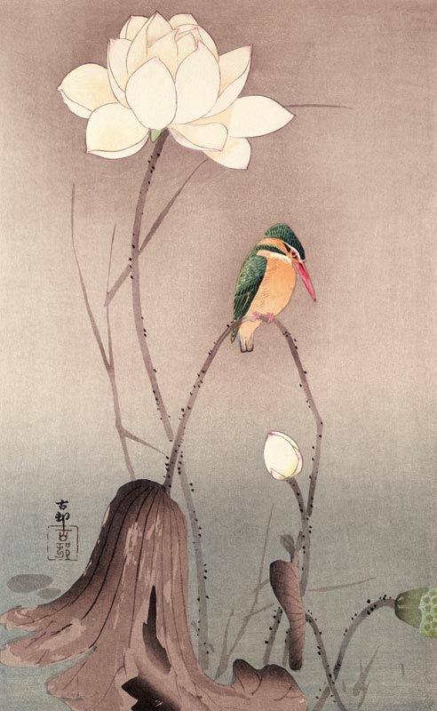 A Kingfisher and a lotus von Ohara Koson
