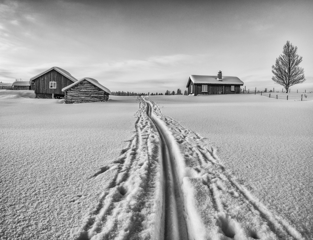 Der Winter ist da – Norwegen von Ole Walter Sundlo