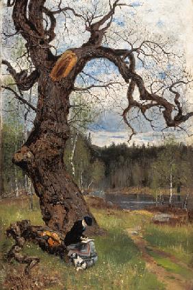 Schwedische Landschaft. 1882
