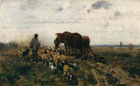Schäfer mit seiner Herde neben einem von zwei Ackergäulen gezogenen Pflug