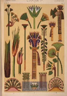 Egyptian Ornament from Ch II, Plate IV of 'Grammar of Ornament' 1868