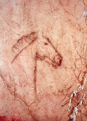 Head of a Horse, from the Cueva de la Pena de Candamo San Roman