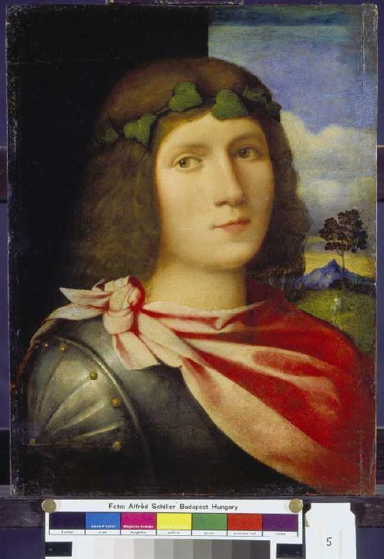 Brustbild eines Jünglings. von Palma il Vecchio (eigentl. Jacopo Negretti)