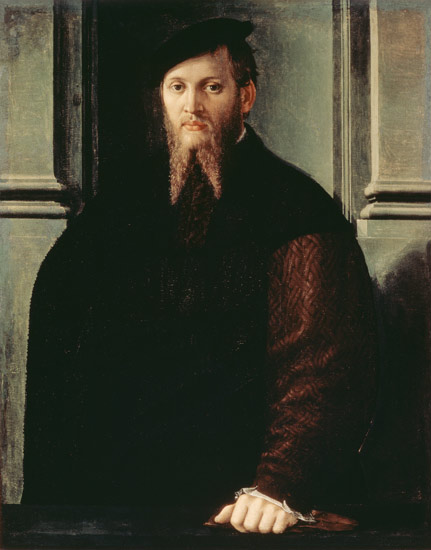 Portrait of a Man von Parmigianino