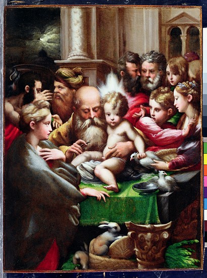 The Circumcision von Parmigianino