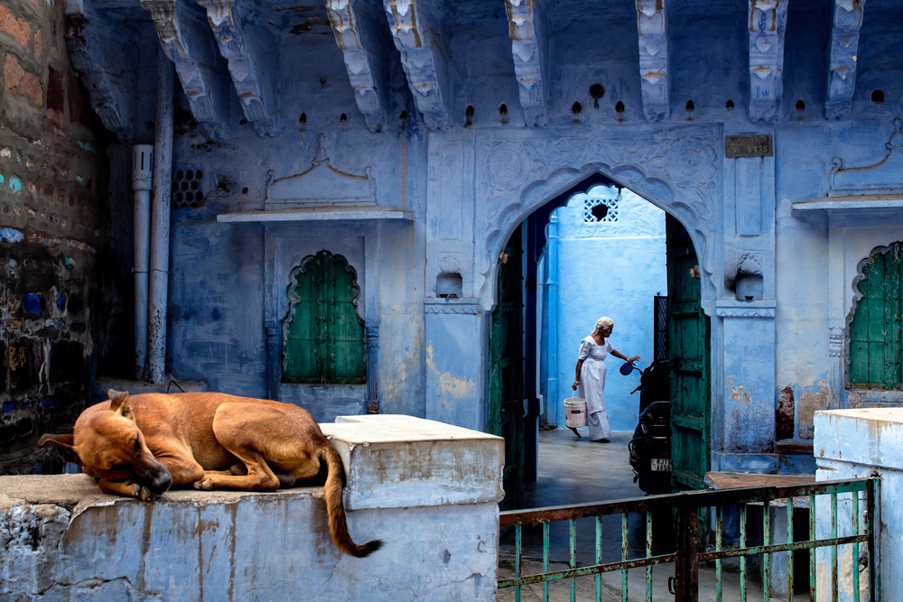 Ein Morgen in Jodhpur,der blauen Stadt von Partha Sarathi Dalal