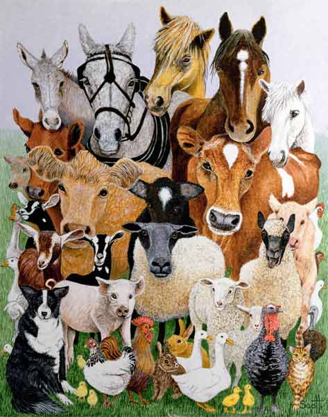 Animal Allsorts (oil on canvas)  von Pat  Scott