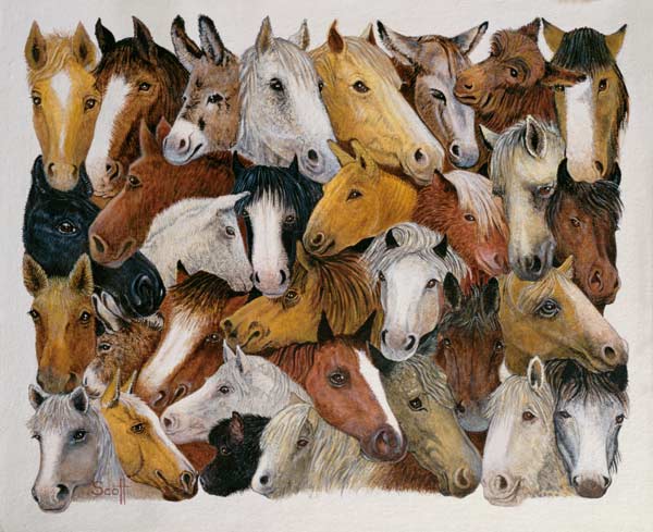 Horses Horses von Pat  Scott