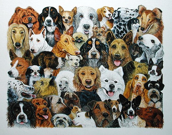 Dog Friends (oil on canvas)  von Pat  Scott