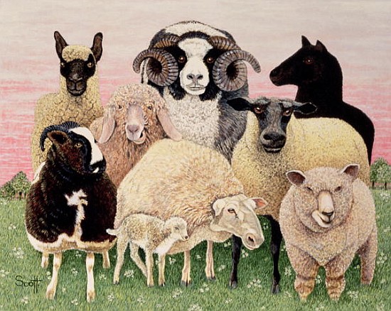 Shepherds Delight  von Pat  Scott