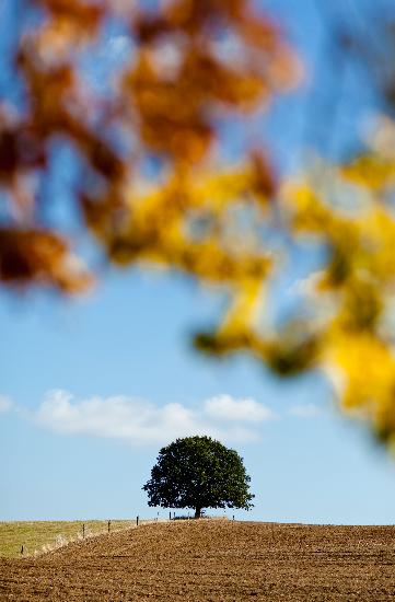 Herbstliche Landschaft der Uckermark von Patrick Pleul
