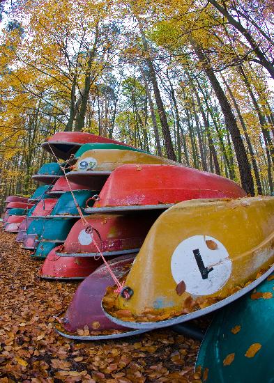 Ruderboote im Herbstwald am Stechlinsee von Patrick Pleul