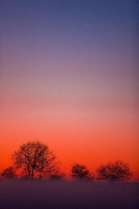 Farbenprächtiger Abendhimmel in Brandenburg