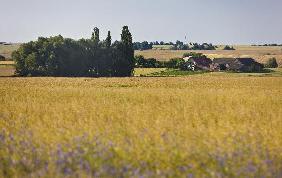 Landschaft in der Uckermark