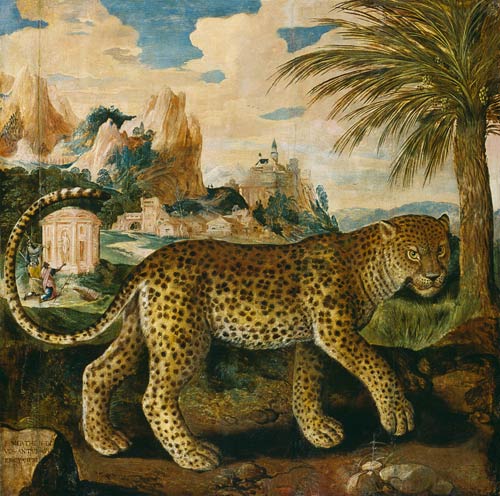 Ein Leopard. von Paul de Vos