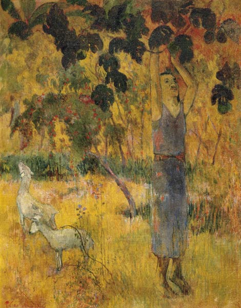 Man Picking Fruit from a Tree von Paul Gauguin